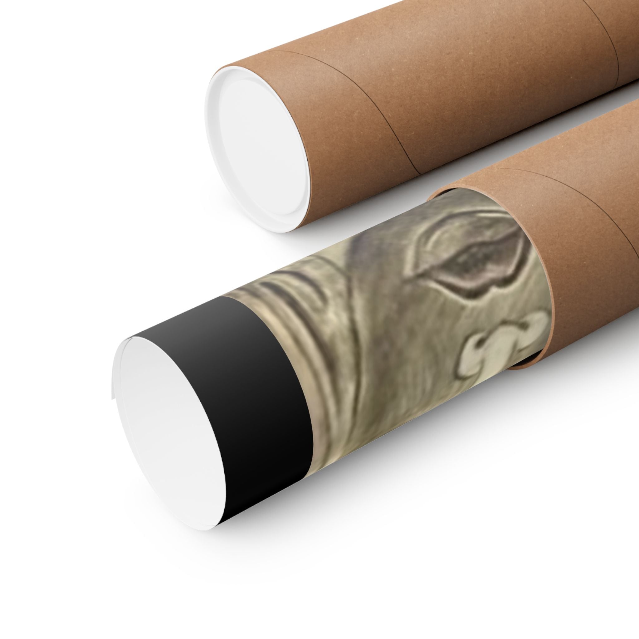 Matte Vertical Posters